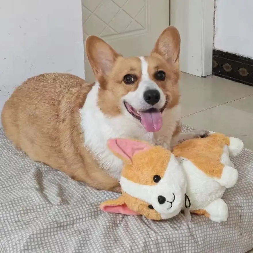 

Милая плюшевая игрушка-корги 35 см, подушка-обнимашка, фигурка для сна, мягкая и удобная, подарок на день рождения