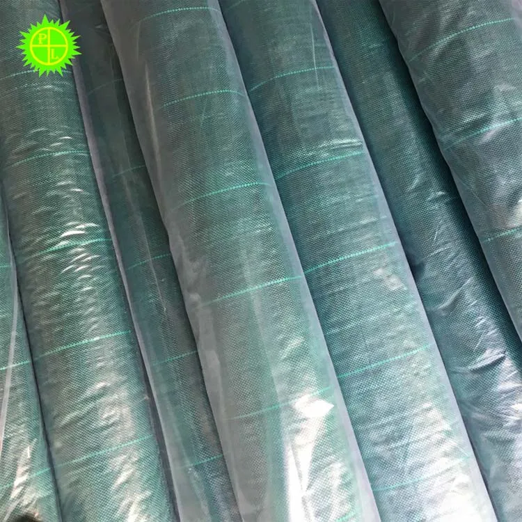 2025년 농업 보호용 흰색 또는 은색 검정색 플라스틱 지표 멀칭 시트