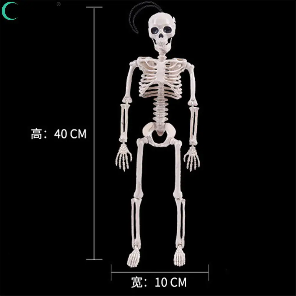 Plastic Lifelike Human Bones Skeleton Horror New Year Halloween Decoration Halloween Christmas Animal Crow Skeleton Decoration