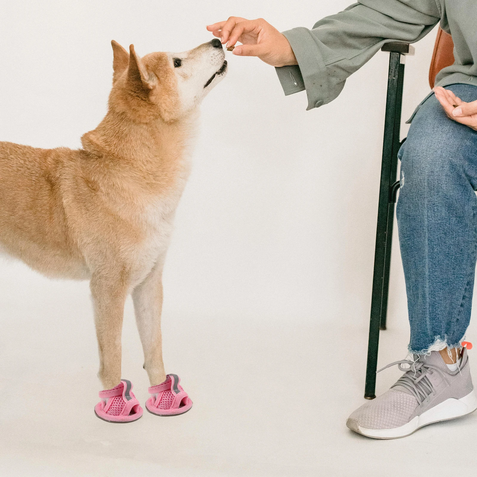 

4 Pcs Short Boots Pet Sandals Sneakers Beach Mesh Dog Shoes for Hot Pavement Breathable