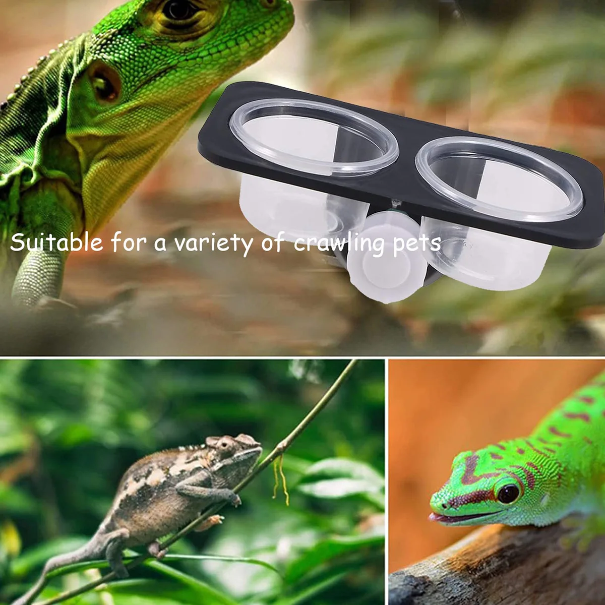 

Reptile Food and Water Cup Crested Gecko Suction Cup Reptile Feeding Cup Gecko Feeder Suitable for Lizard Leopard Gecko