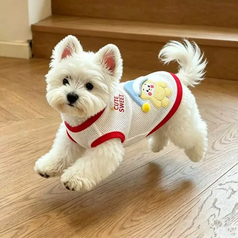 Popular Mesh Dog Clothes Ice Silk Teddy Tank Top Thin Edition Bichon Dog T-shirt 3D Embroidered Maltese Short Sleeve