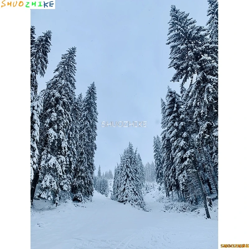 قطرات خلفية للتصوير الفوتوغرافي للغابات الشتوية ، طريق مغطى بالثلوج ، ندف الثلج ، أشجار التنوب ، خلفية الصورة ،