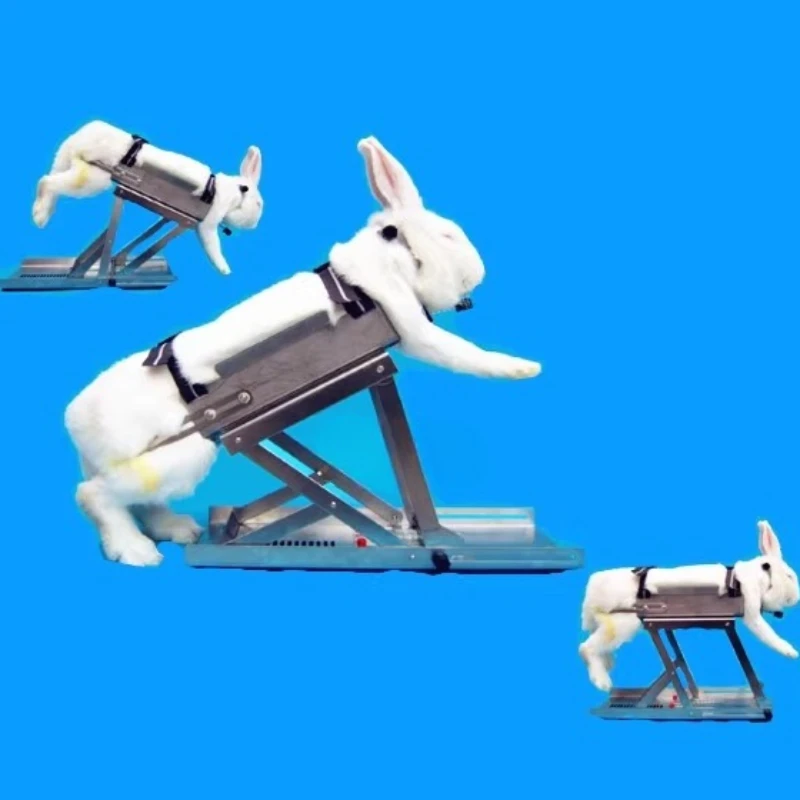 

Experimental Rabbit Fixator Fixation Stainless Steel Rabbit Fixation Frame Gastroidiser Surgical Box Stabilizer Can Be Invoiced