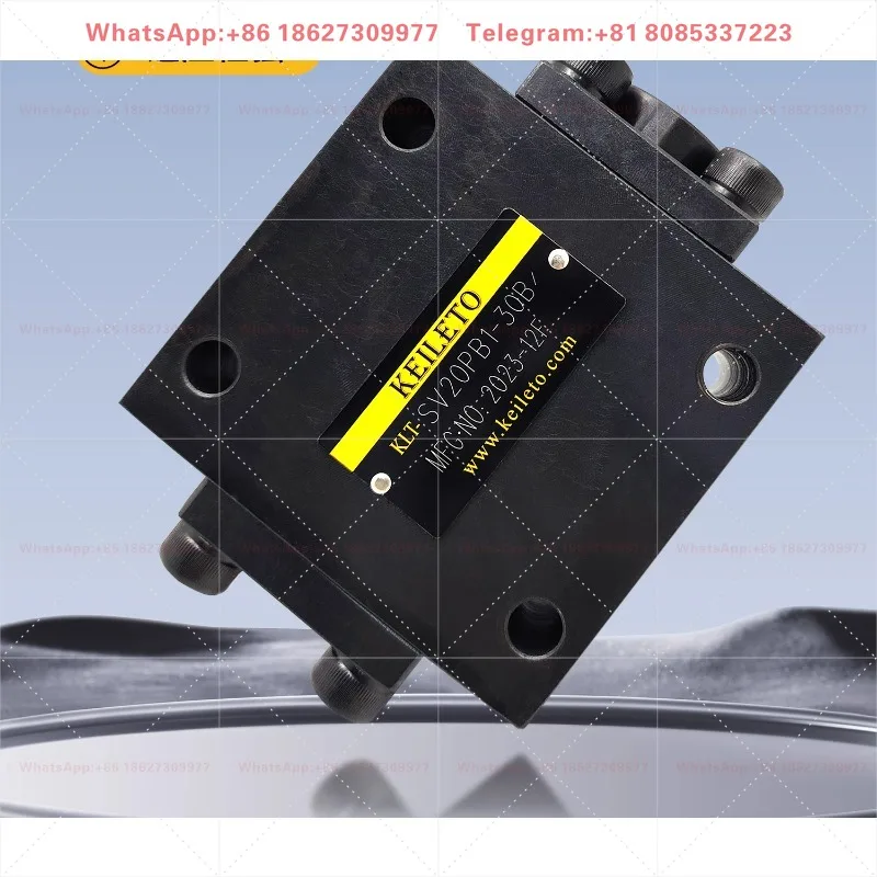 Tong hydraulic control one-way valve SV10PA1-30 pressure maintaining valve SL10/20/30PB2/PA3/PB1