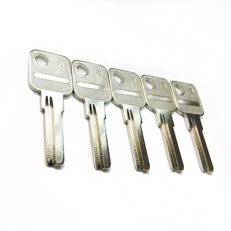 5-100 Pcs PALA-3 PALLADIUM Hi-Rel Uncut Empty Key Blank House Home Door Locksmith Tool Embryo Lock Security Safe Locks Copper