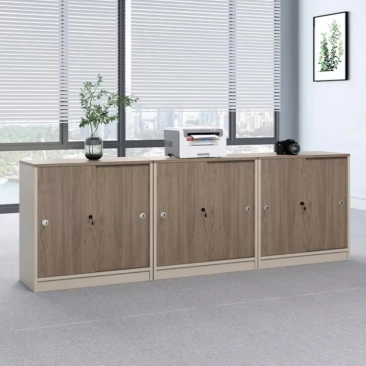 

Modern Wooden Office Partition Cabinet Long & Low Data Storage Document Archives Bookshelf for File