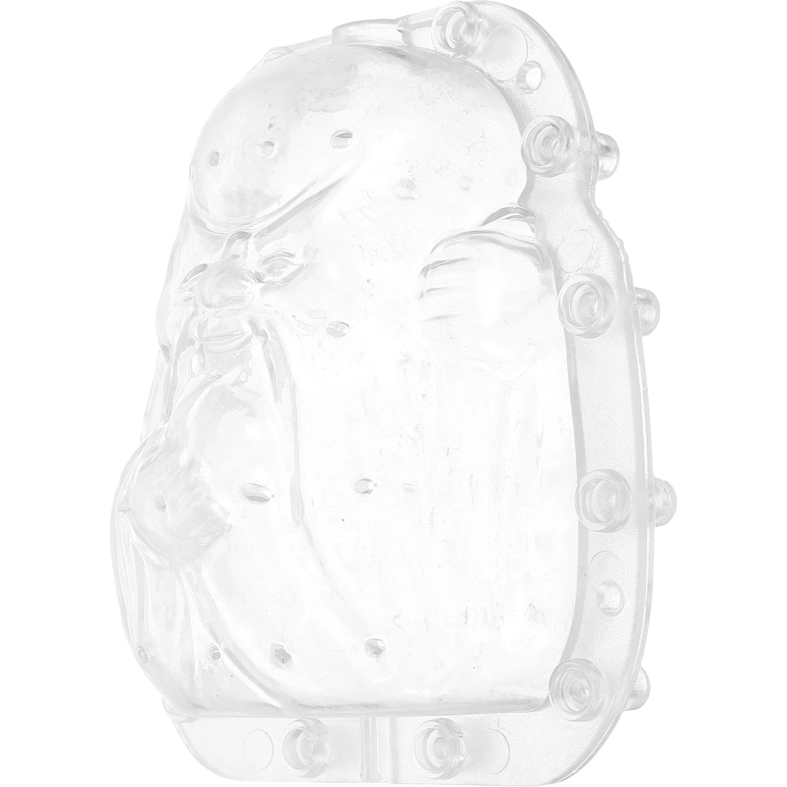 Set di Stampi per Modellare Frutta Trasparenti Riutilizzabili, Strumento per la Formazione di Verdure per Giardino e Cortile, Resistente alla Pressione