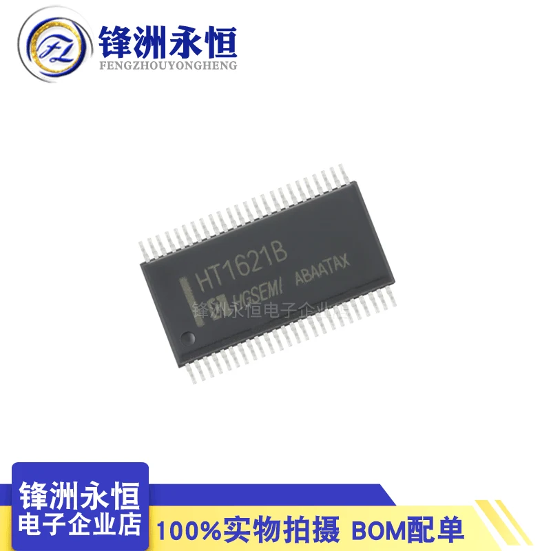 New Original HT1621B HT1621 Patch SSOP48 Display Driver IC LCD Liquid Crystal Driver Chip TM1621B