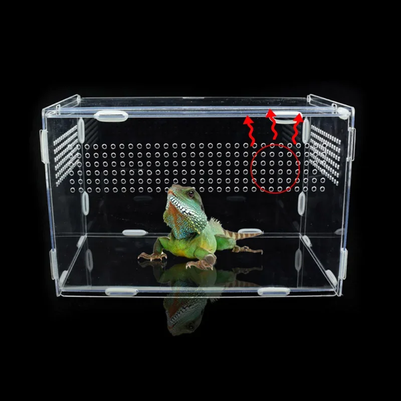 Reptile Breeding Box Acrylic Transparent Spider Breathable Terrarium Ornamental Box for Lizard Scorpion Insect