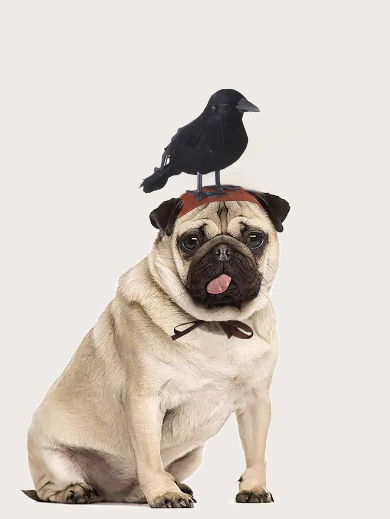 1pc-Crow hat cat transformation headband, pet decoration hai