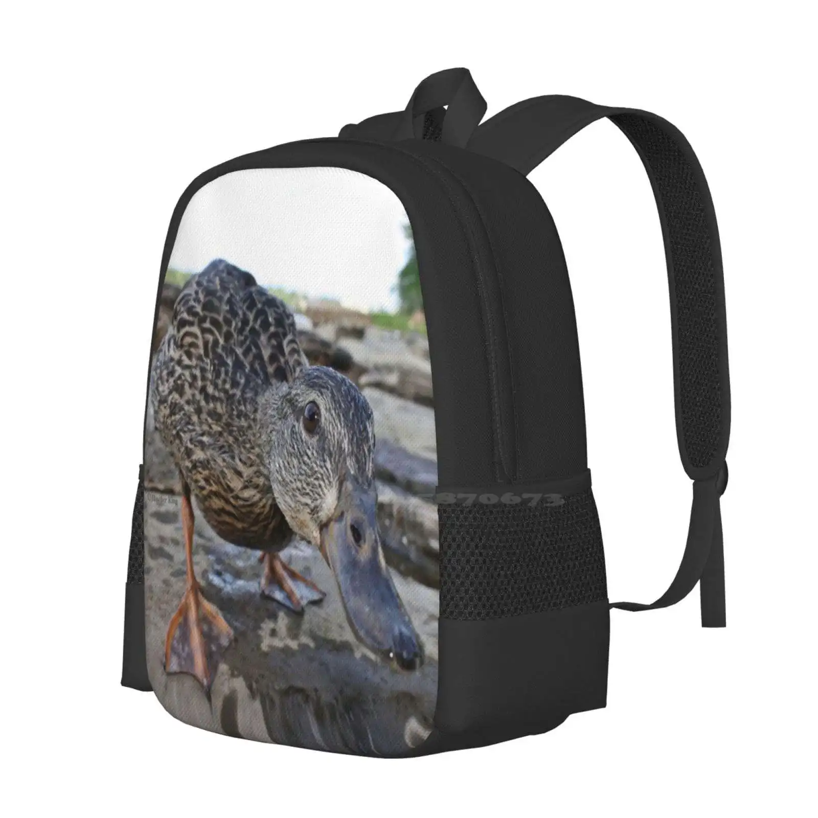 Inquisitive Hot Sale Schoolbag Backpack Fashion Bags Ducks Duckling Nature Animal Water Fowl Bird Lake River Rocks Earth Stone