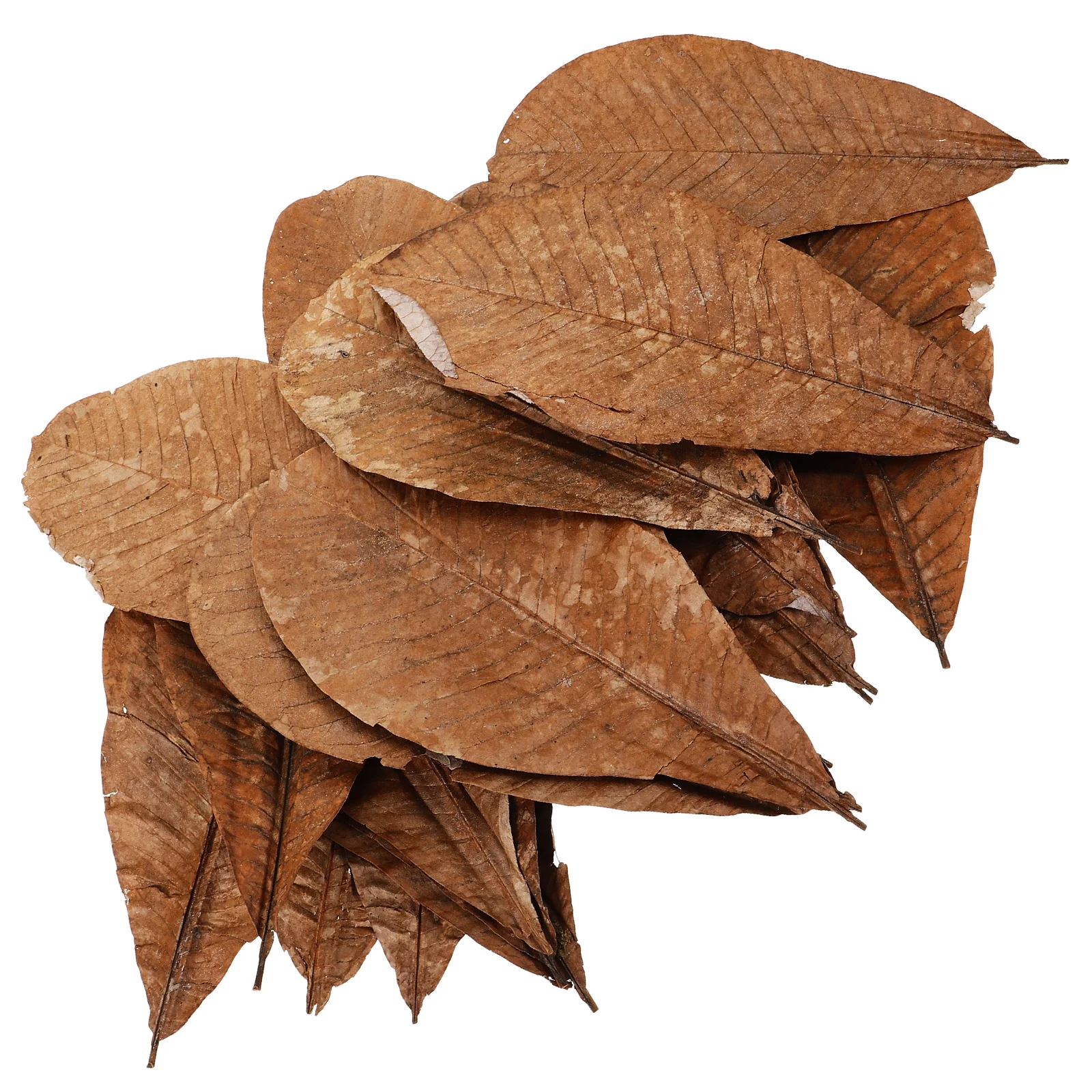 

20pcs Sushi Tray Leaf Decor Dried Natural Leaves For Sashimi Plate Japanese Food Decoration Seafood Serving Table Kitchen Bar