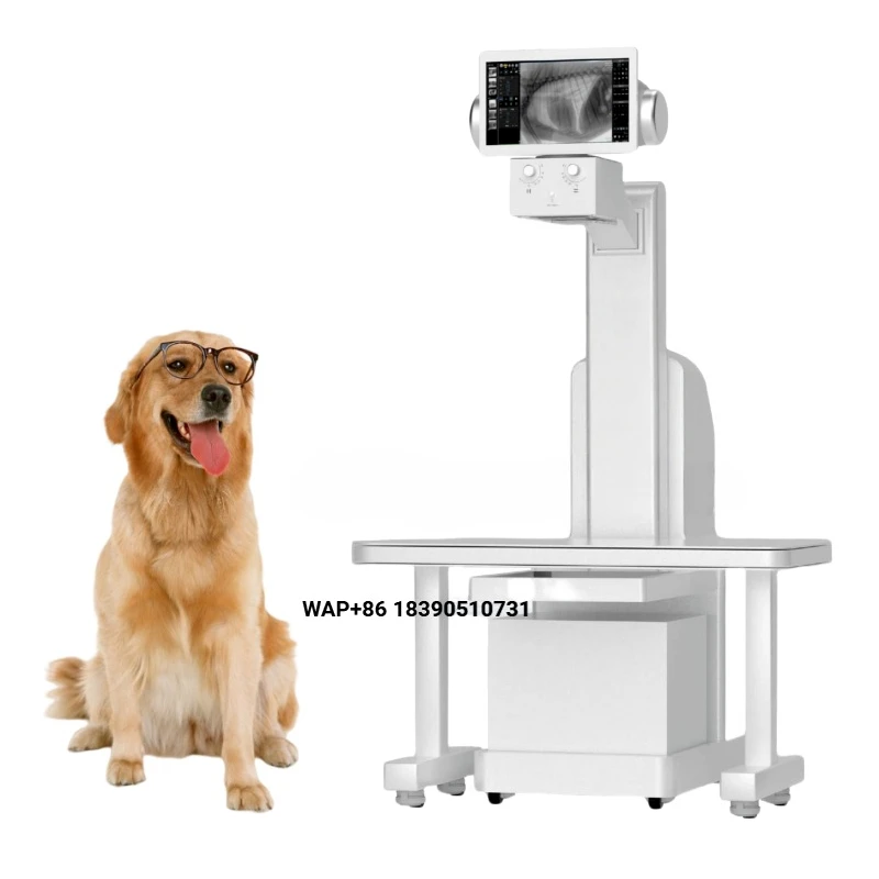 32kW Veterinary Dynamic Digital X-Ray and C-Arm System Animal X-Ray Customized Low-Price X-Ray Veterinary