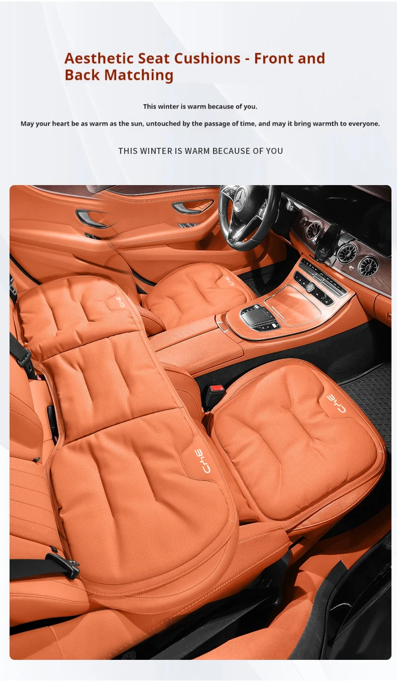 Für BYD Ato 3 Fafengtang F3 E6 Yuan Song Plus EV F0 Qinhan Dolphin S6 Autositz-Rückenlehnenkissenbezug Leder-Sitzschutzpolster – Detail 11