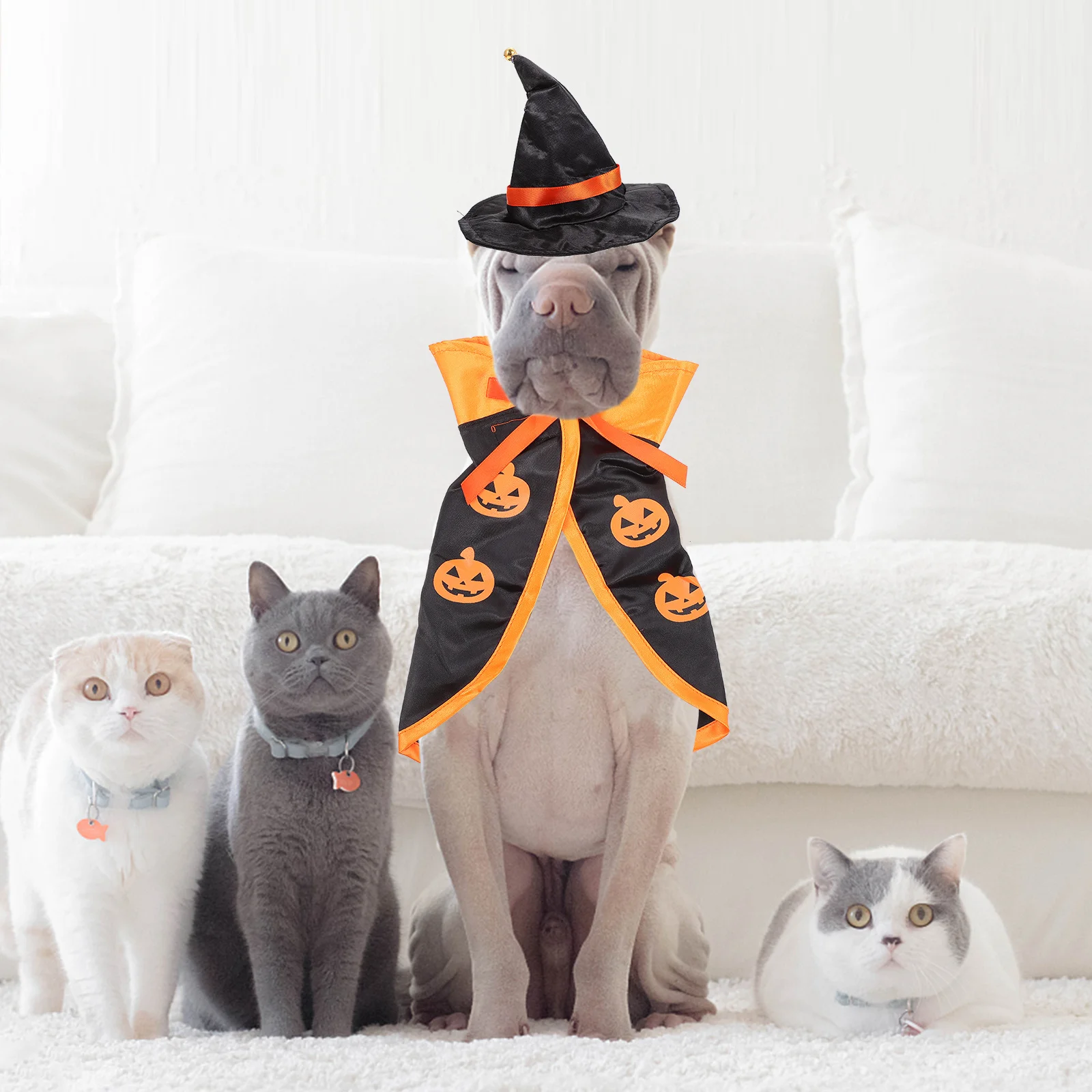 

1Set Dog Cat Halloween Costume Set Pet Cloak Hat Pumpkin Cape Party Wear Pet Hat Cloak Cat Cape Dog Halloween Costume Set