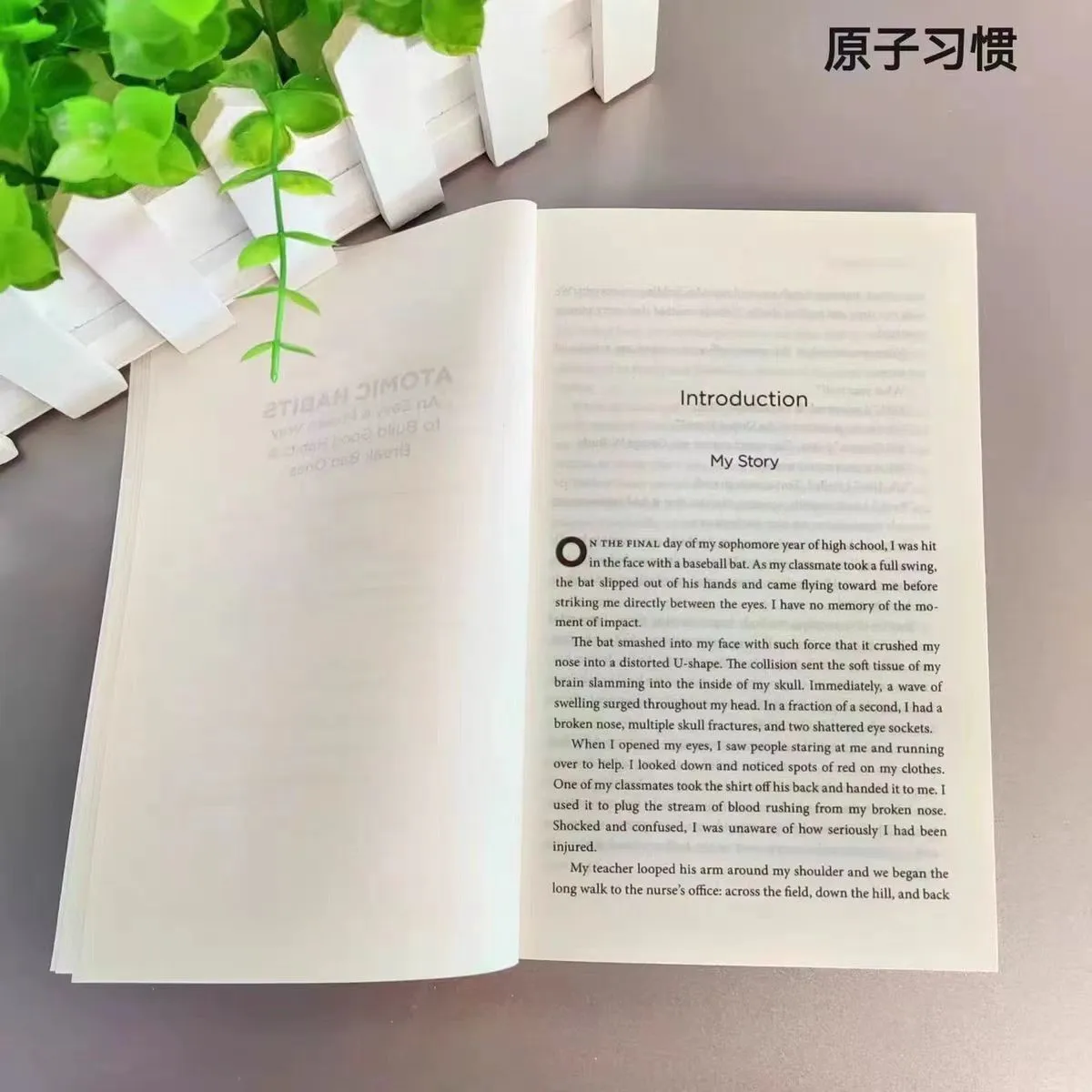 Atomic Habits: un método simple para establecer buenos hábitos y BreakBadHabitslibri personal de desarrollo libros de psicología para adultos