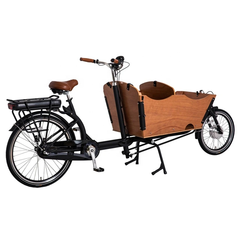 pets cargo bike 2 wheel electric bicycle family cycle for taking kids 3 seats