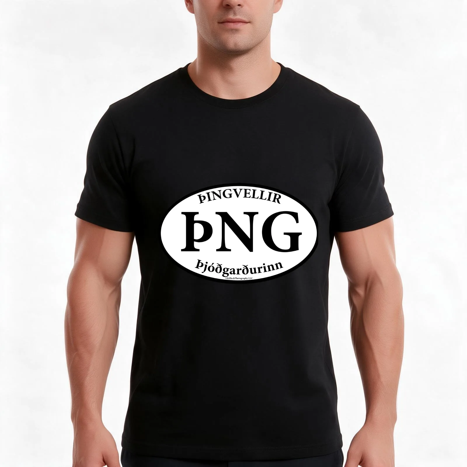 Thingvellir National Park Iceland T-Shirt, Summer Casual Cotton Tee, Oversized Streetwear Tops, Vintage Graphic Print