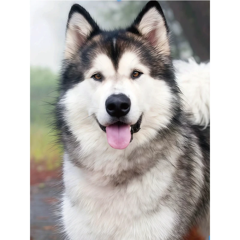 

RUOPOTY 5d Full Drill Square Diamond Painting Animal Diamond Embroidery Dog Picture Of Rhinestones Home Decor Diamond Art