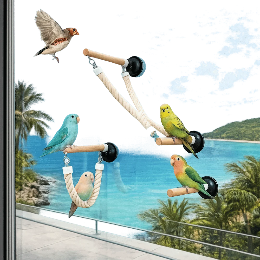 

Parrot Exercise Suction Cup Parrot Climbing Perch Non-slip Hanging Bird Swing Bite Resistant Bird Ladder Bridge Boredom Relief