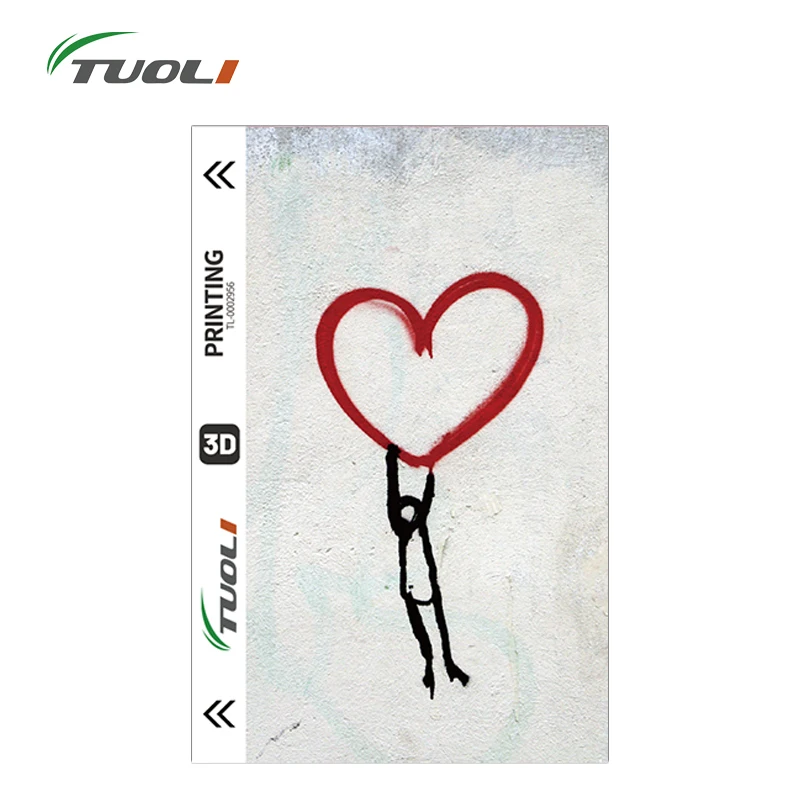 TUOLI 10 pièces 3D Film arrière paillettes pour Machine à découper Film Transparent décoratif couverture arrière autocollant iPhone protecteur d'écran