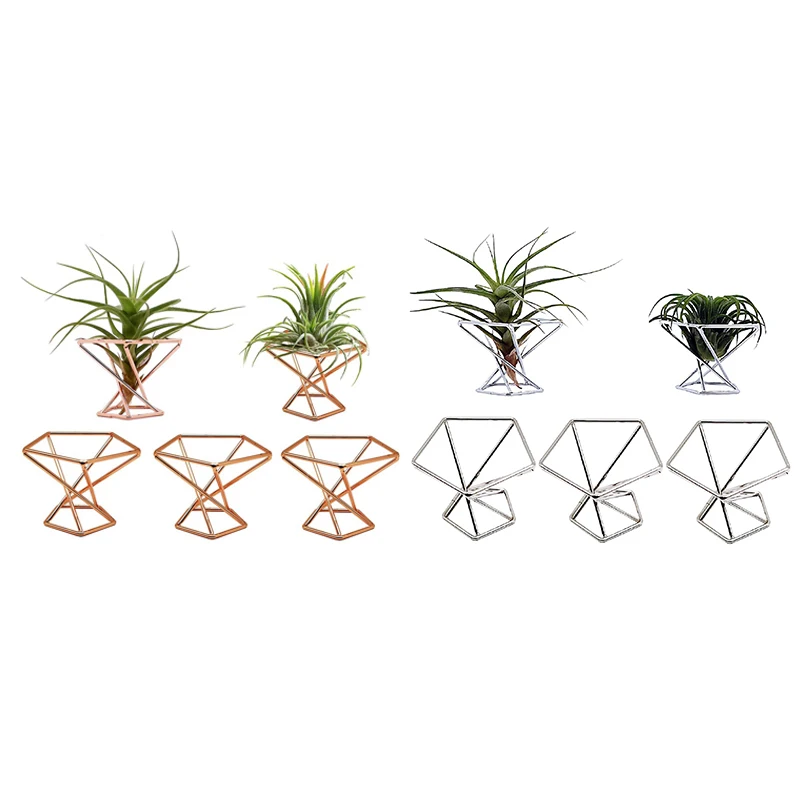 Pack 5 Air Plant Holder Air Plants Holders Tillandsias Display Air Purifying Plant Container Air Fern Stand