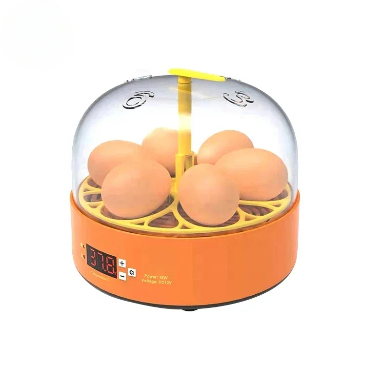 Cheap Price Mini Egg Incubator Machine Incubator Automatic 6 Small Egg Incubator-11