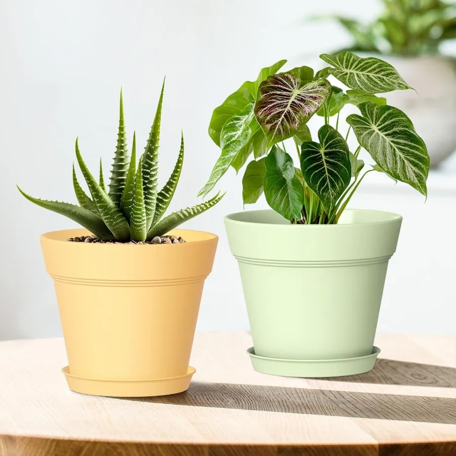 4-Zoll-Pflanztöpfe aus Kunststoff mit Drainagelöchern und Tabletts, 8er-Pack kleine Kindergartentöpfe für Zimmerpflanzen und Blumen im Innen- und Außenbereich, S