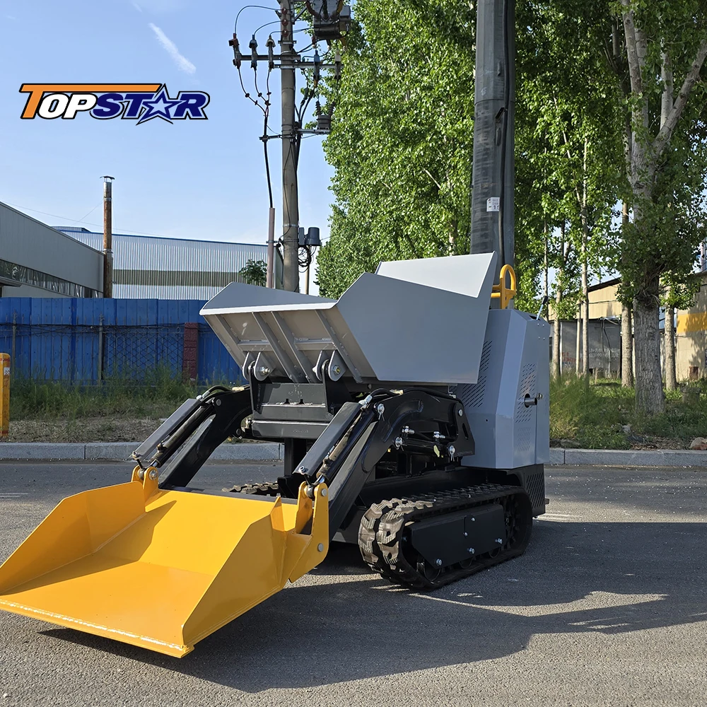 

Mini Dumper 500kg Crawler Dumper EURO 5 EPA Fast Delivery High Quality Factory Customize Small Dumper for Sale