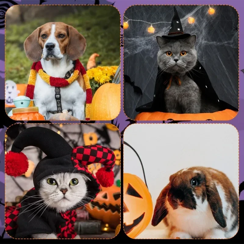 Halloween Dog Bat Wings Clothes Cute Cat Costume Bat Wings Dog Collar Bat Wings with Pumpkin Bell Bat Costume Party Decoration