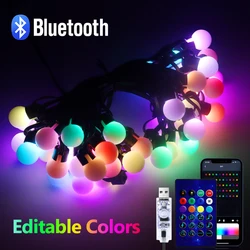 USB Bluetooth Colorful LED Bulb String Light 10M 50 Bulbs Fairy Lights Christmas Room Outdoor Garden Camping Decor Garland Lamp