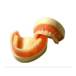 Dental pełna proteza Model Overdenture magnetyczne mocowanie górne badanie żuchwy