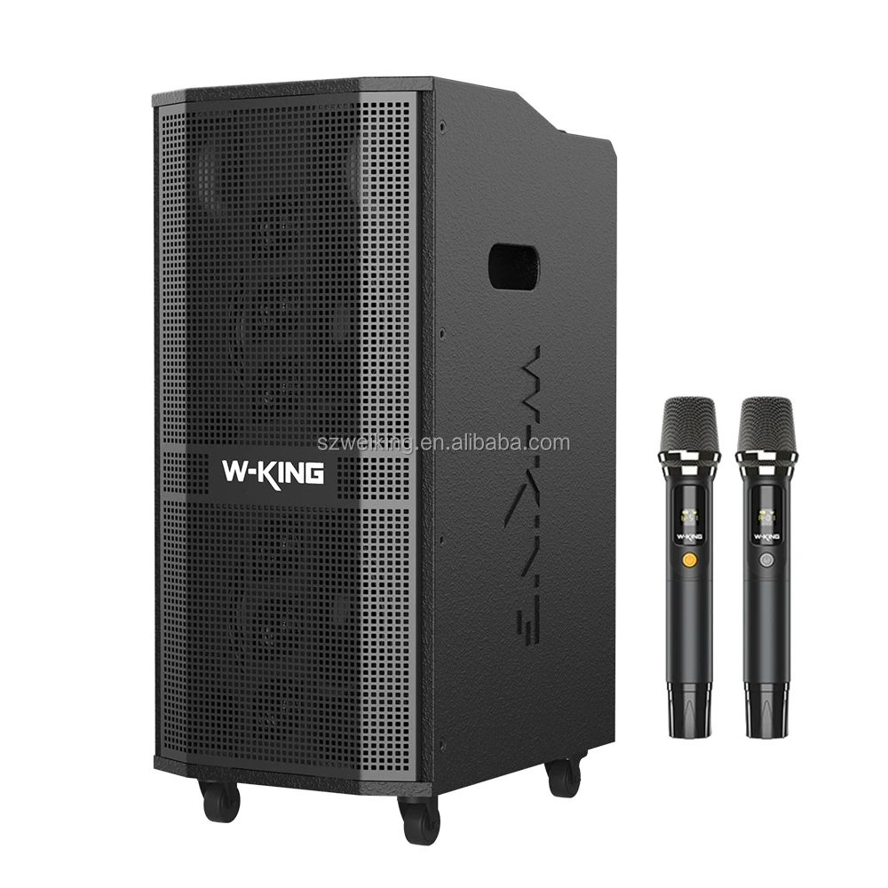 

W-KING K20PRO Мощная профессиональная аудиосистема 360 Вт для улицы, деревянная концертная звуковая система, сценическая акустическая система на колесиках, линейный массив с микрофоном