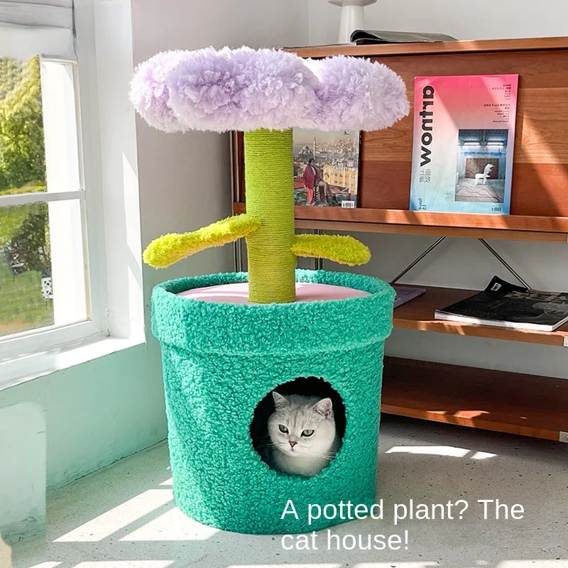 potted flower cat litter