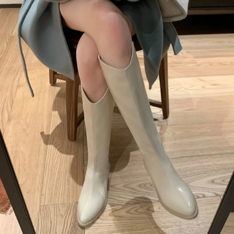 Winter New Pointy Mid-heel Knee-high Boots Back Zipper Solid Color Heightening Car Stitch and Velvet Fashion Elegant High Boots