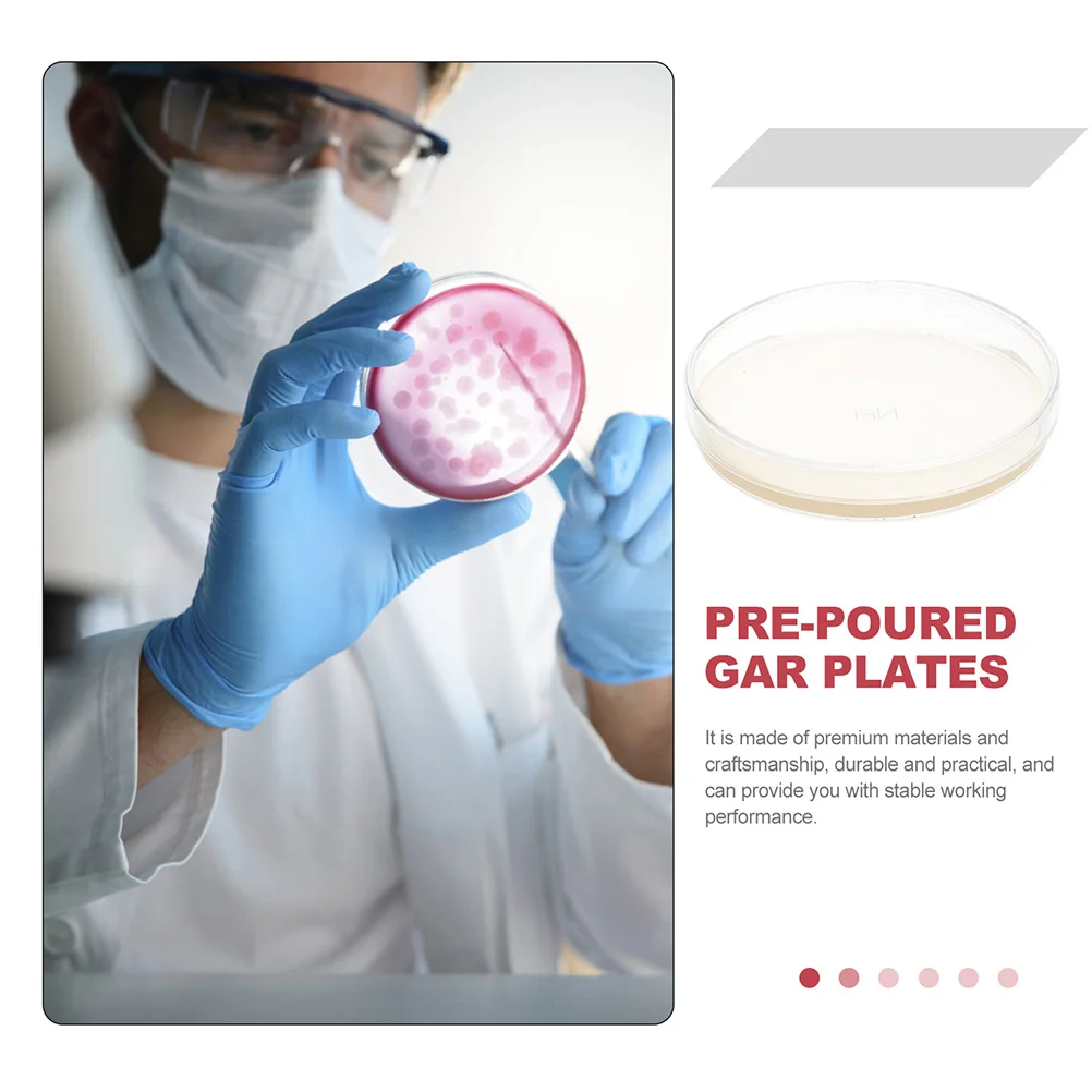 Placas de Agar prevertidas, suministros para experimentos de ciencia, 10 piezas