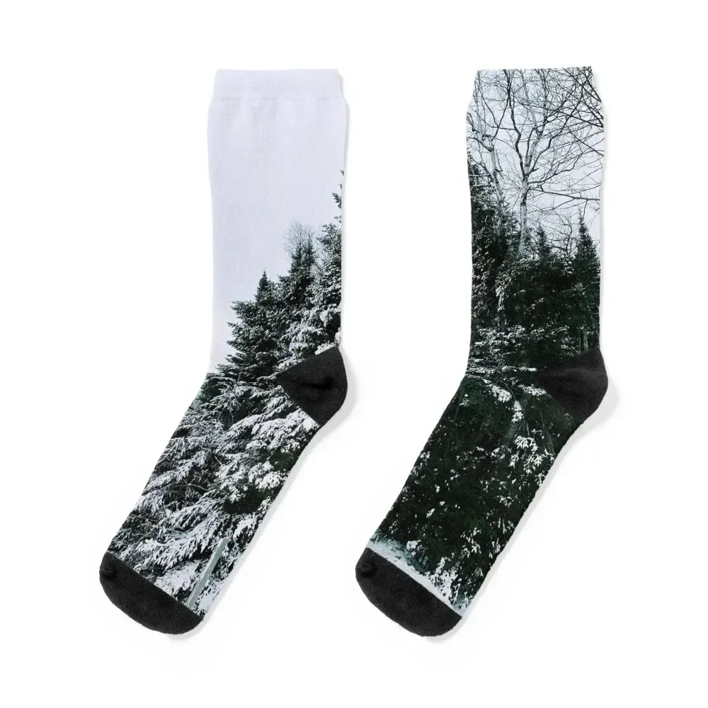 Snowy Trees in Winter Socks Sports crazy men cotton high quality Socks For Men Women's