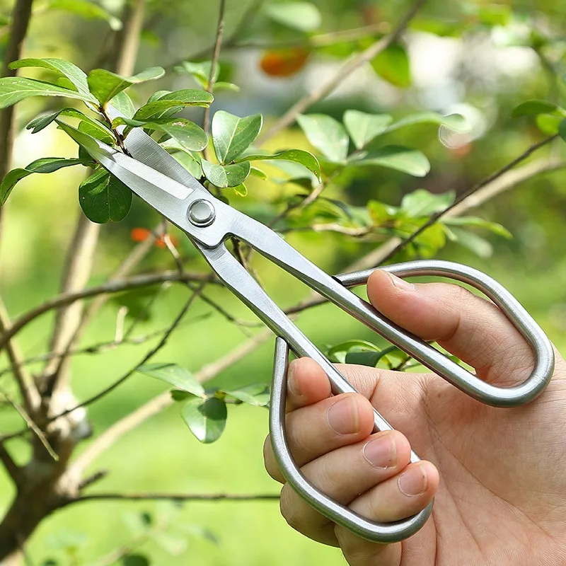 Gunting Daun Muda Alat Bonsai Gunting Cabang Gunting Kebun Baja Tahan Karat yang Dapat Diperpanjang Gunting Pemangkas Tunas Daun Muda
