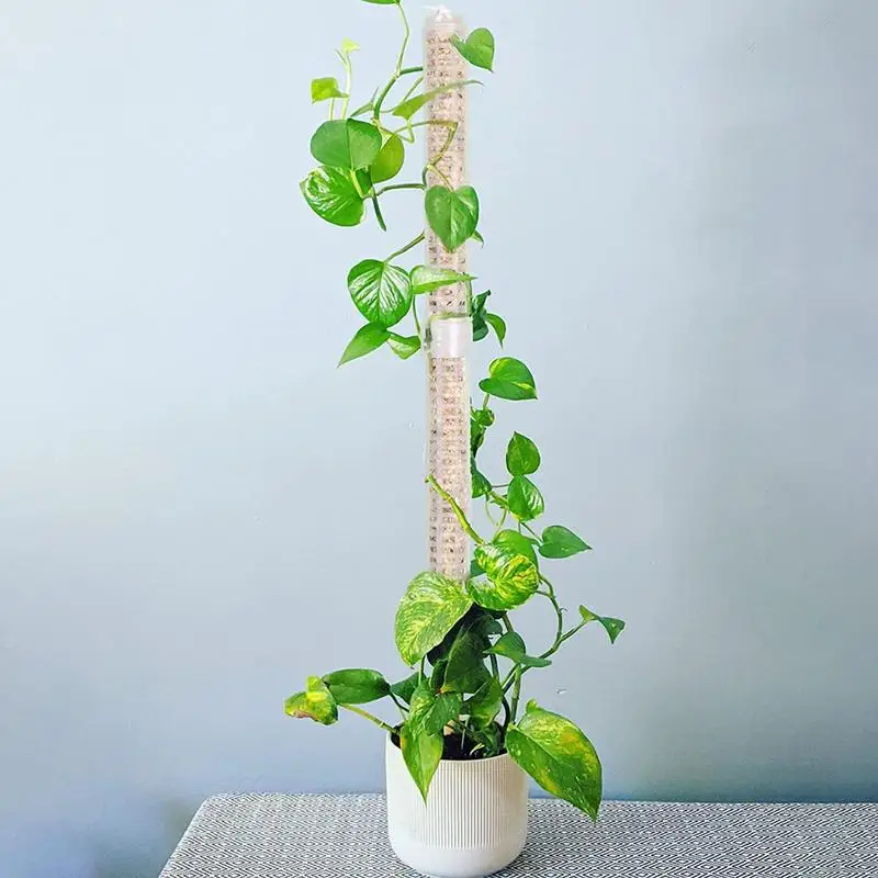 Moss Pole Clear Monstera Moss Pole Tall Moss Poles For Climbing Plants Indoor Moss Sticks Plant Climbing Pole Grow Vertical Moss