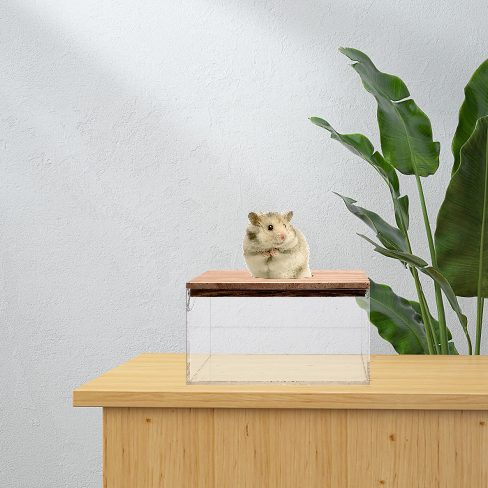 

Hamster Bath Tub Small Pet Bathroom Accessories Transparent Box Wear Resistant Reusable Bathtub Easy Clean Durable House