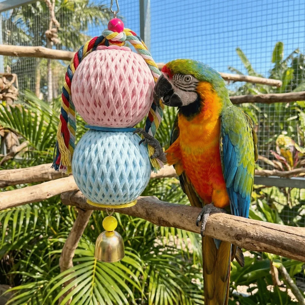 

Colorful Birds Hanging Chew Toy Bite Resistant with Bell Parrot Teething Toy Creative Interactive Bird Chew Stone Bird Training