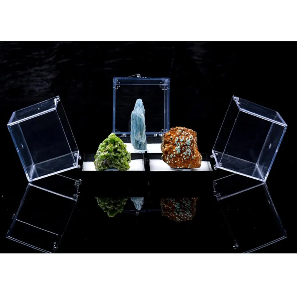 Acrylic Display Case Dustproof Clear Box Rock Mineral Collection Organizer Educational Toy for Statue and Anime Figures