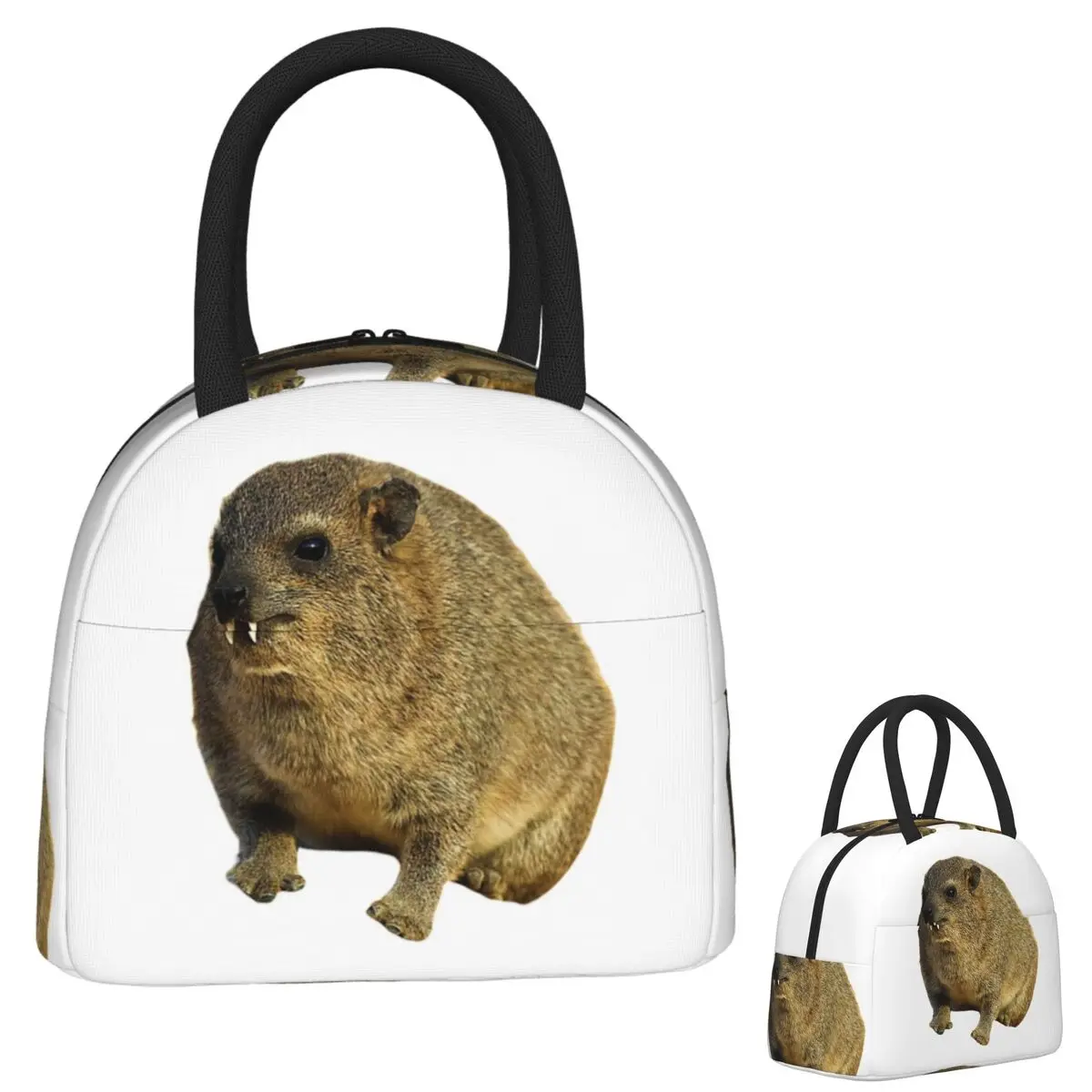 

Милая изолированная сумка для обеда Rock Hyrax для женщин и детей, герметичные коробки для еды, термосумка для ланча