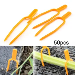 50 Stuks Plastic Plant Klimsteun Tribune Clips Plant Wijnstok Houder Voor Bloem Aardbei Tomaat Tuin Benodigdheden C1
