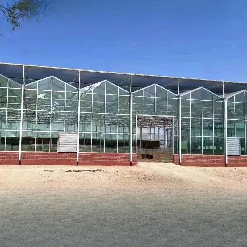2025All'ingrosso di cornici per serra in vetro - Capannone per serra multipiano collegato con ombreggiatura di fiori per piantare uva