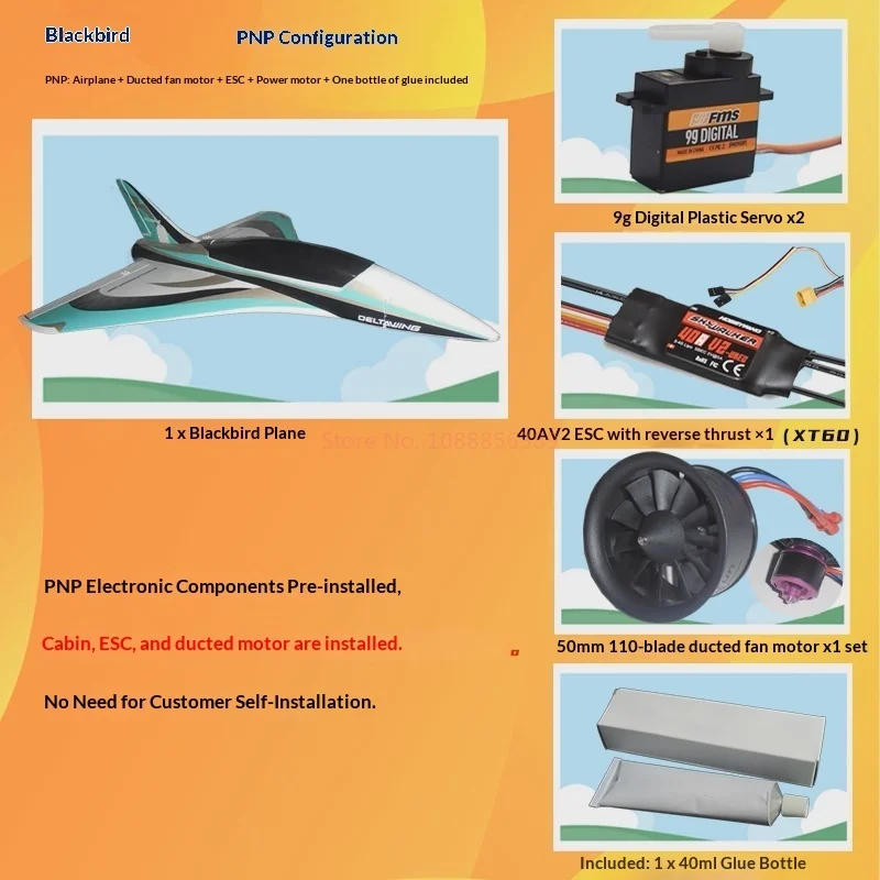 High-Speed Electric Fixed-Wing RC Airplane Black Bird 50mm Inlet High-Performance Triangular Wing Remote Control Model Aircraft