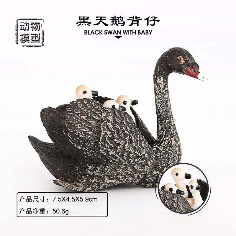 

Simulation farm wildlife model swan black swan children's toy set decorative ornament birthday gift