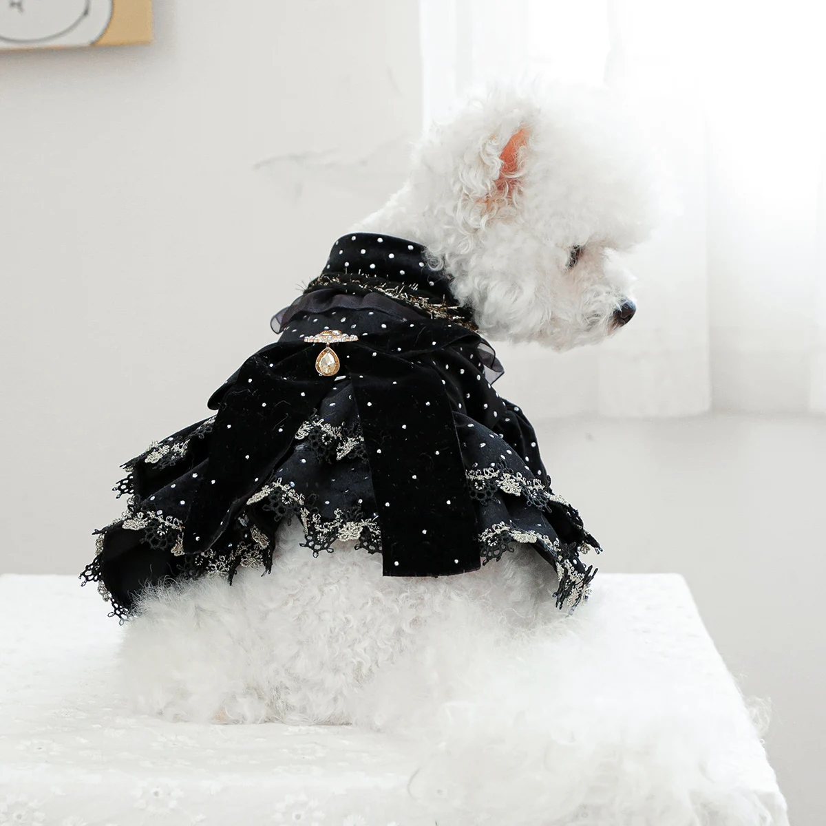 1PC Pet Clothing Spring and Autumn Black Gold Dress Princess Dress Suitable for Small and Medium sized Dogs