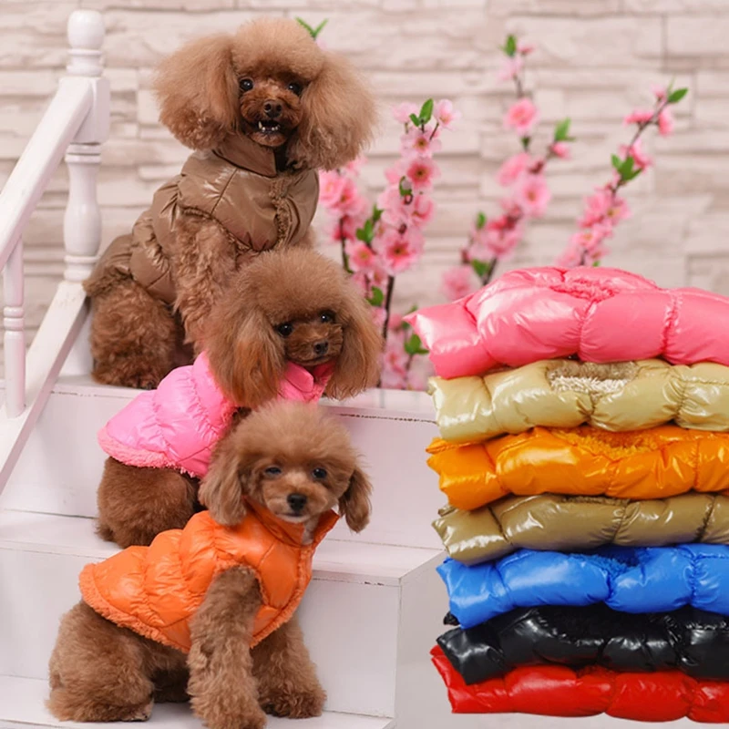 Classis Pet Dog Down Jacket For Small Dogs Winter Cat Dog Clothes For Yorkshire Shih Tzu Coat Puppy Clothing Ubranko Dla Psa